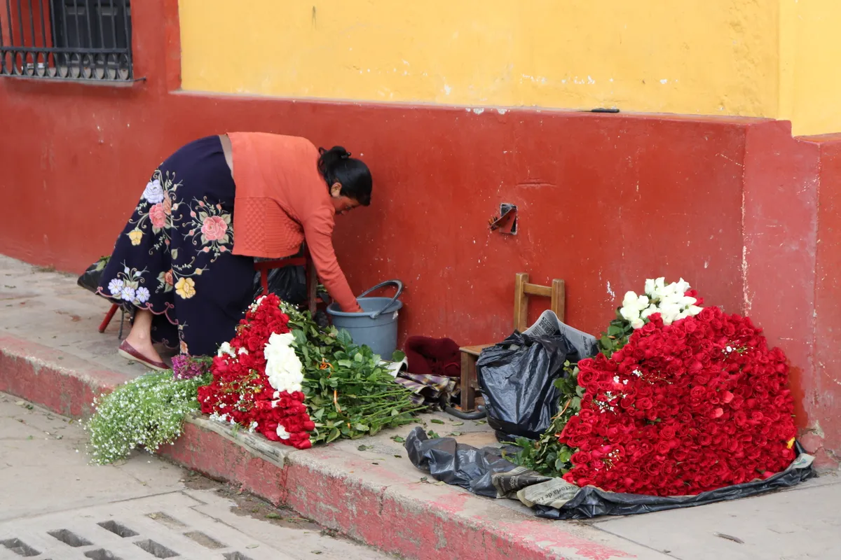 mexico photo 16