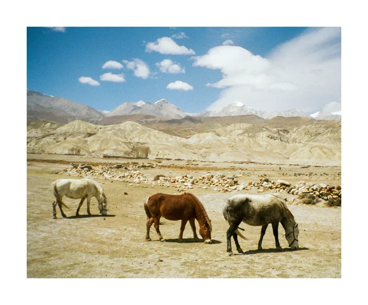 nepal photo 10